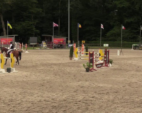 Reitturnier Klein Roscharden 2024