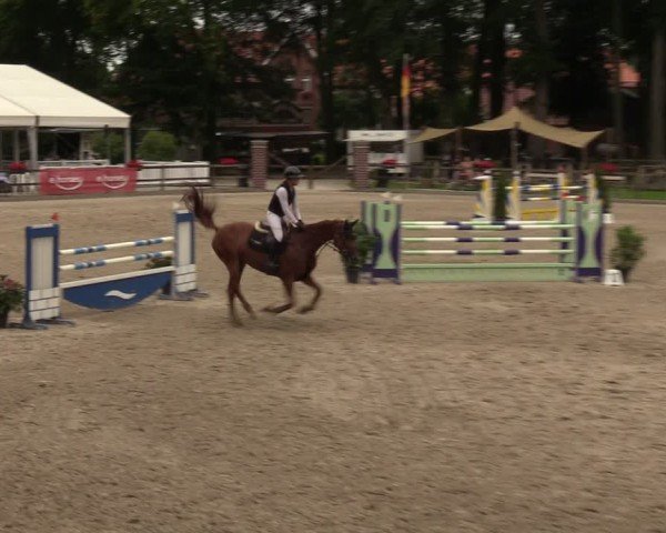 Reitturnier Klein Roscharden 2024