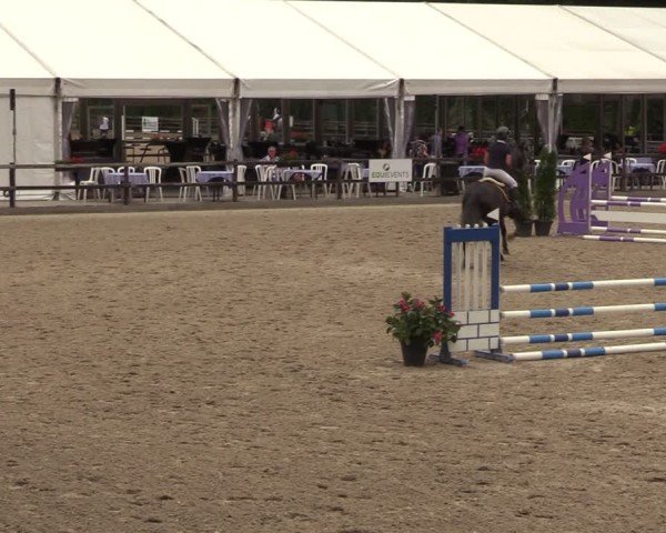Reitturnier Klein Roscharden 2024
