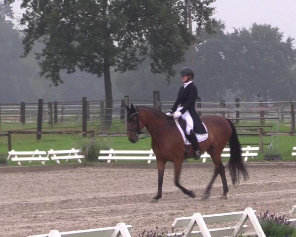 Reitturnier Nettetal-Lobberich 2024