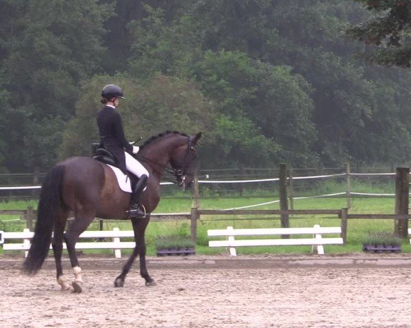 Reitturnier Nettetal-Lobberich 2024