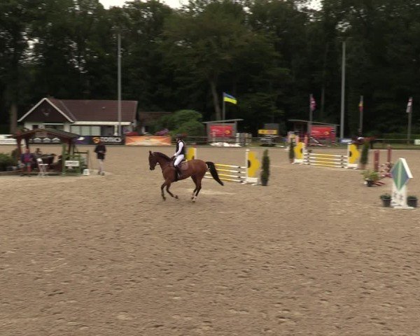 Reitturnier Klein Roscharden 2024