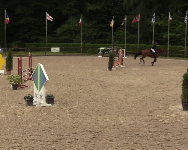 Reitturnier Klein Roscharden 2024