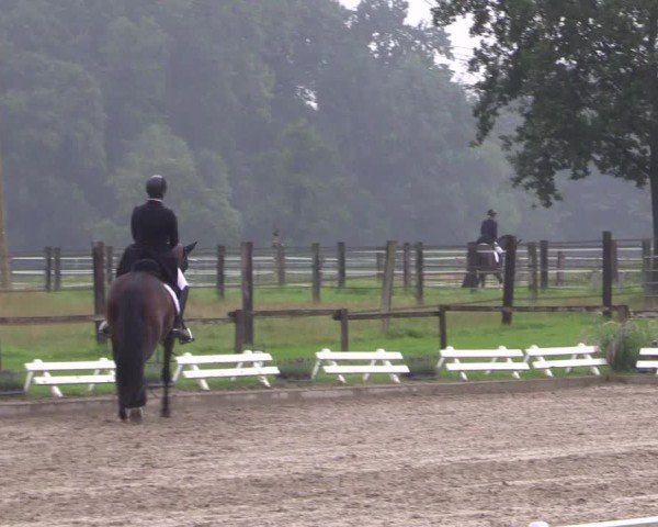 Reitturnier Nettetal-Lobberich 2024
