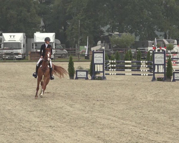 Reitturnier Nettetal-Lobberich 2024