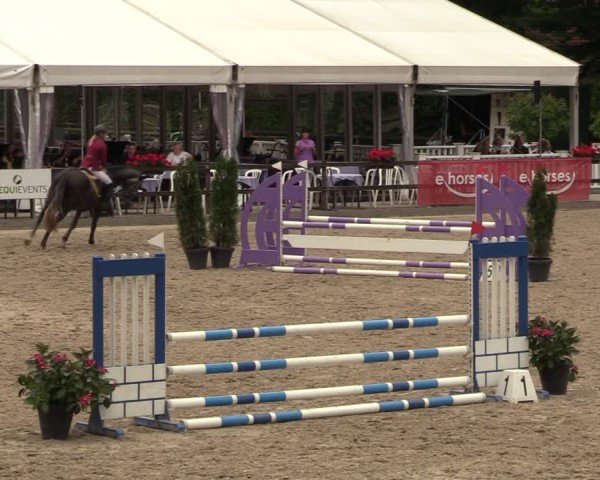 Reitturnier Klein Roscharden 2024