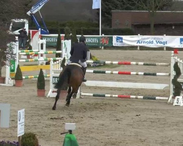 Lenklarer Reitertage auf der Reitsportanlage Gripshöver 2013
