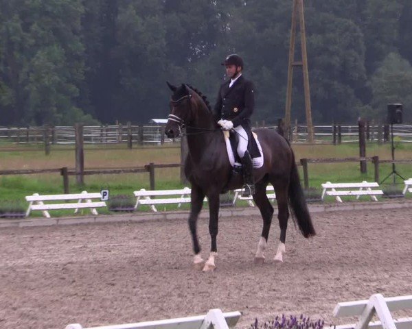 Reitturnier Nettetal-Lobberich 2024