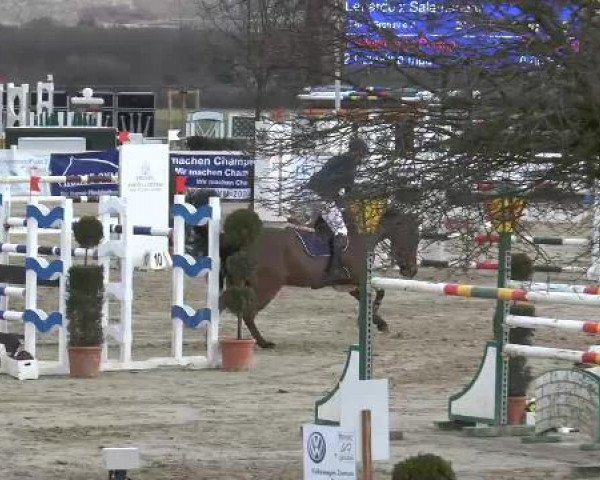 Lenklarer Reitertage auf der Reitsportanlage Gripshöver 2013