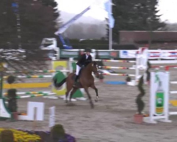 Reitturnier Werne-Lenklar 2013