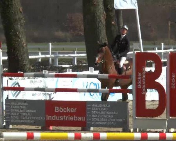 Reitturnier Werne-Lenklar 2013
