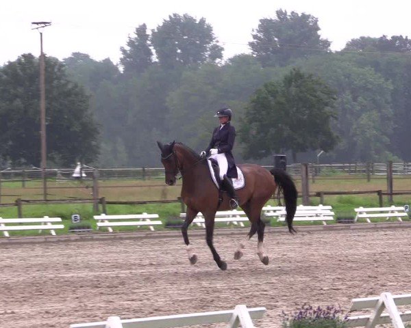 Reitturnier Nettetal-Lobberich 2024