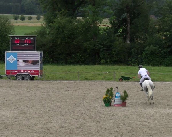 Reitturnier Gossau 2024