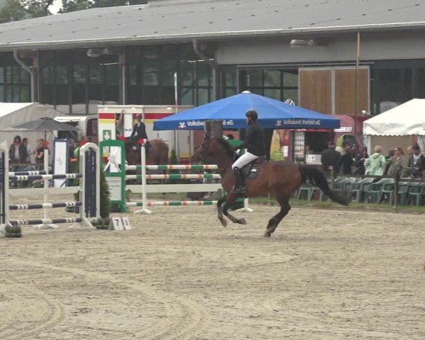 Reitturnier Nettetal-Lobberich 2024