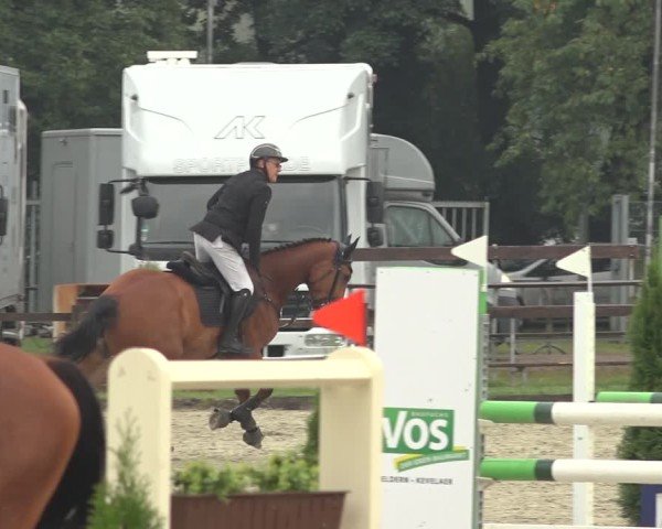 Reitturnier Nettetal-Lobberich 2024
