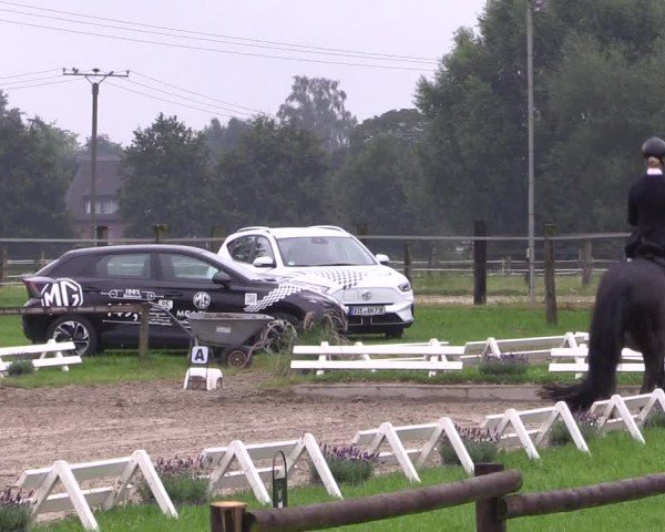 Reitturnier Nettetal-Lobberich 2024