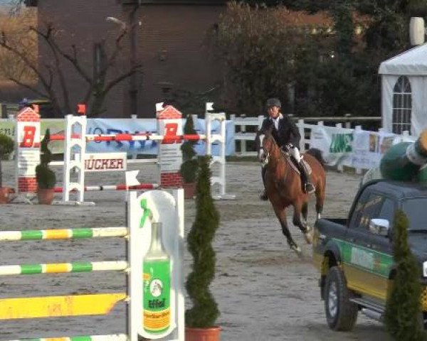 Reitturnier Werne-Lenklar 2013