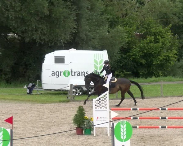 Reitturnier Gossau 2024