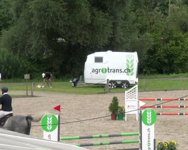 Reitturnier Gossau 2024