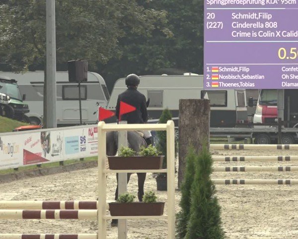 Reitturnier Nettetal-Lobberich 2024