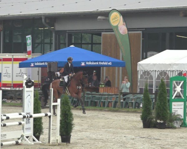 Reitturnier Nettetal-Lobberich 2024