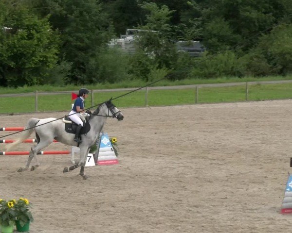 Reitturnier Gossau 2024