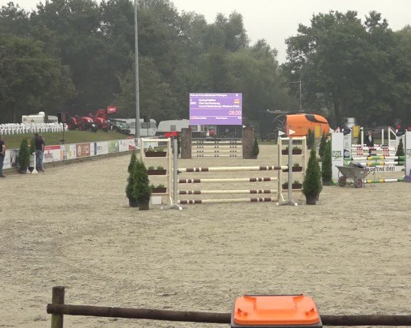 Reitturnier Nettetal-Lobberich 2024