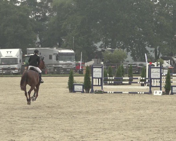 Reitturnier Nettetal-Lobberich 2024