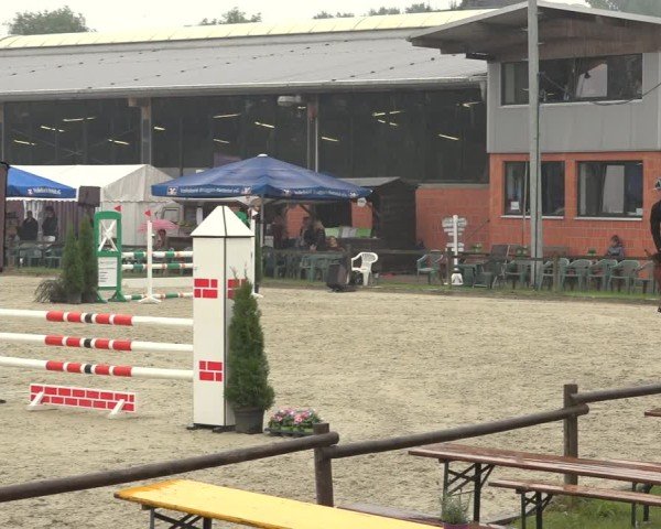 Reitturnier Nettetal-Lobberich 2024