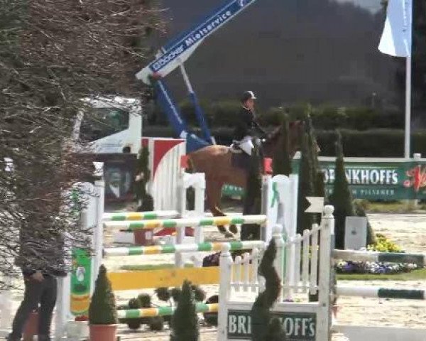 Reitturnier Werne-Lenklar 2013
