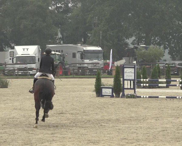 Reitturnier Nettetal-Lobberich 2024