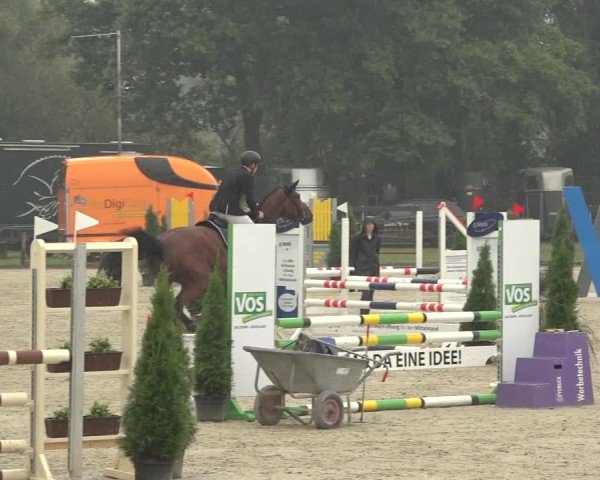 Reitturnier Nettetal-Lobberich 2024