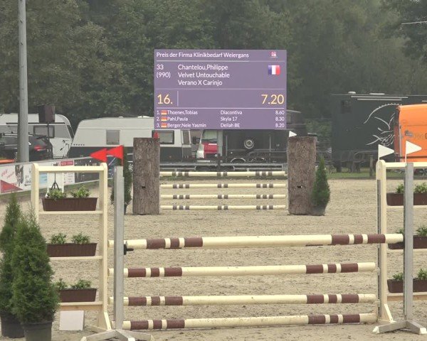 Reitturnier Nettetal-Lobberich 2024
