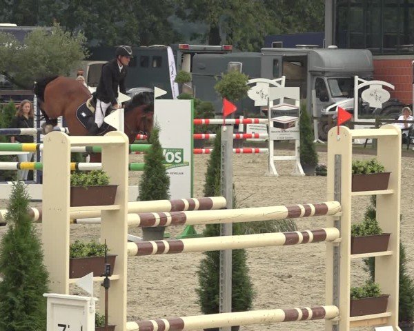 Reitturnier Nettetal-Lobberich 2024