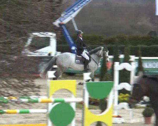 Reitturnier Werne-Lenklar 2013
