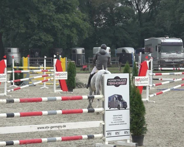 Reitturnier Nettetal-Lobberich 2024