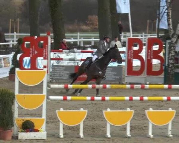 Lenklarer Reitertage auf der Reitsportanlage Gripshöver 2013