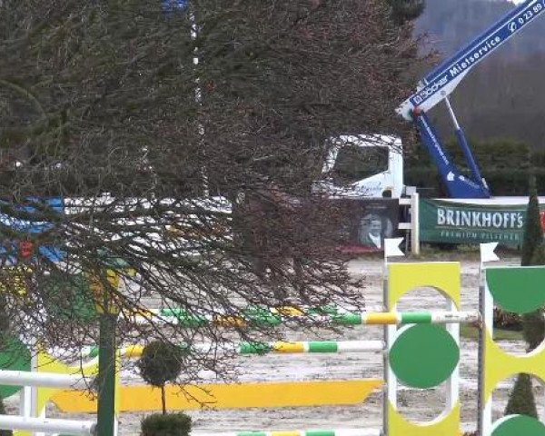 Lenklarer Reitertage auf der Reitsportanlage Gripshöver 2013