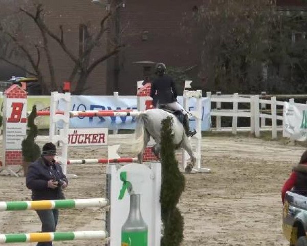 Reitturnier Werne-Lenklar 2013