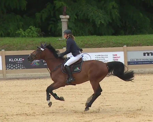 Reitturnier Tiefenhof/Opf. 2024