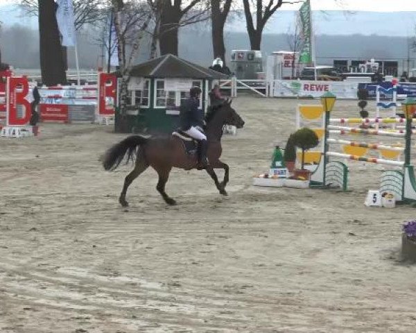 Lenklarer Reitertage auf der Reitsportanlage Gripshöver 2013