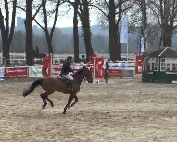 Lenklarer Reitertage auf der Reitsportanlage Gripshöver 2013