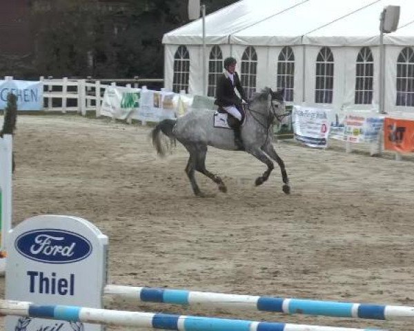 Lenklarer Reitertage auf der Reitsportanlage Gripshöver 2013