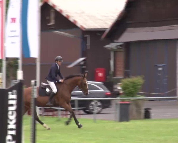 Reitturnier Bad Kissingen/Ufr. 2024
