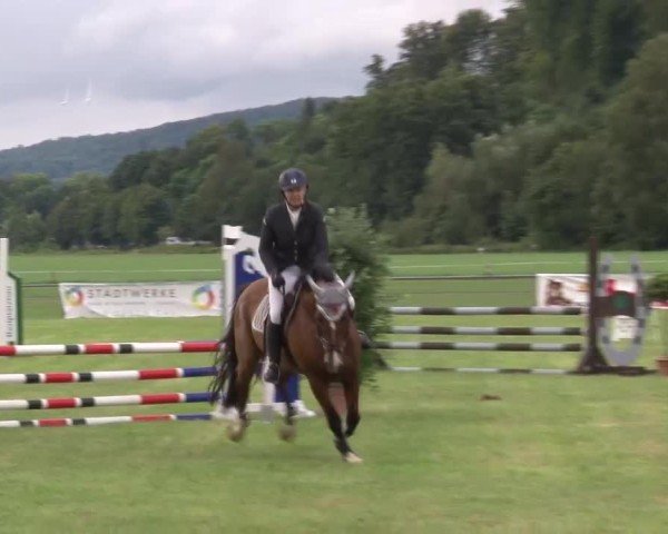 Reitturnier Bad Kissingen/Ufr. 2024