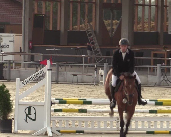 Reitturnier Ennigerloh-Neubeckum 2024