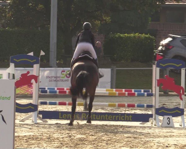 Reitturnier Ennigerloh-Neubeckum 2024