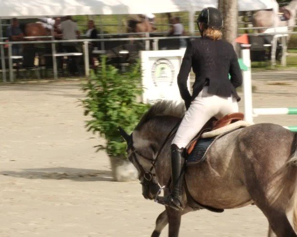Reitturnier Mannheim-Friedrichsfeld 2024