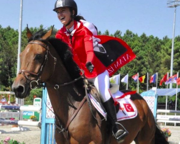 horse Calisti (Hanoverian, 2003, from Conteur)