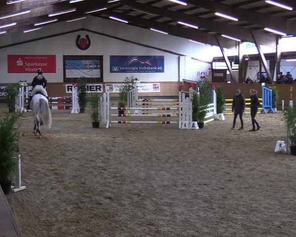 Reitturnier Steinheim 2021